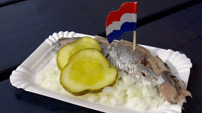 dnhl90qjon7fxj2i33ugrkc5l nieuwe haring