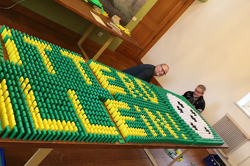 dominostenen kasteel limbricht zitterd allein