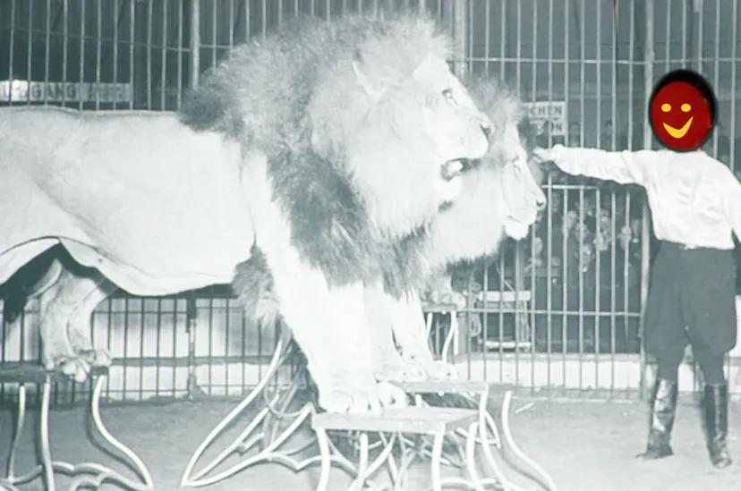 dompteur met twee leeuwen