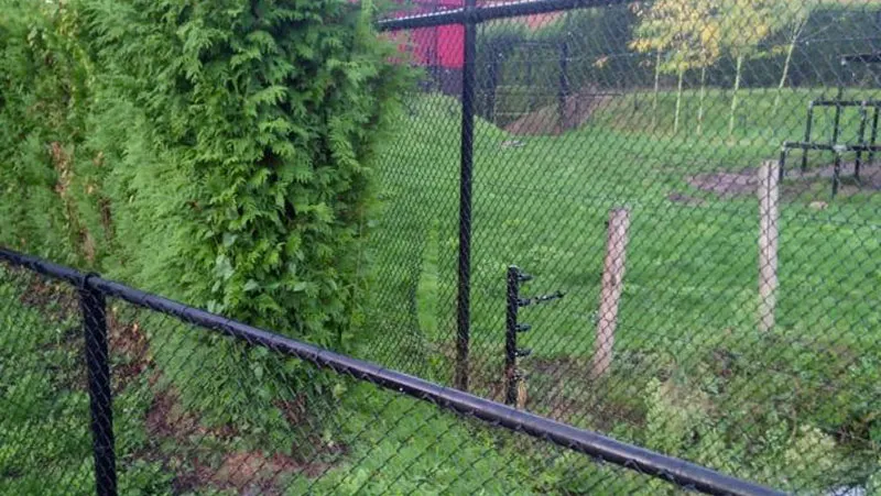 doorgeknipt hekwerk leeuwenverblijf mondo verde