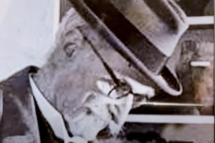 doorstart tv expositie dr beckers