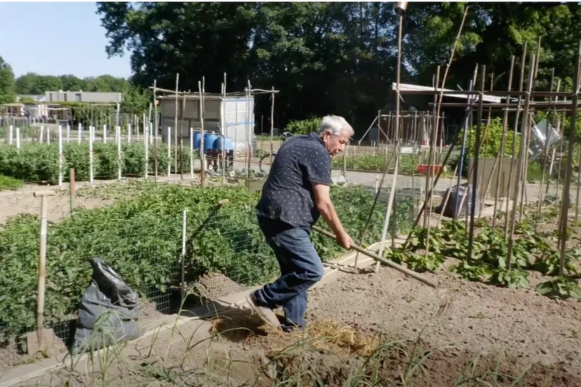 doorstart tv hiphelpt