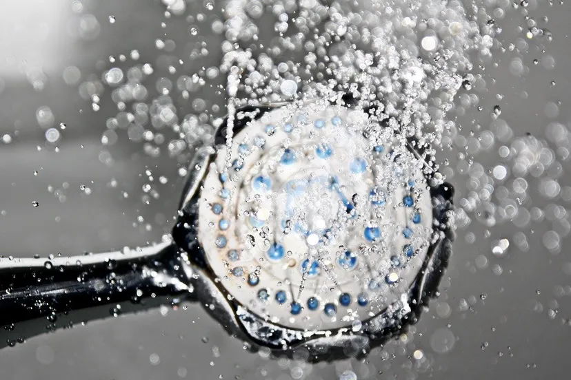 douchekop shower 1502736 1280