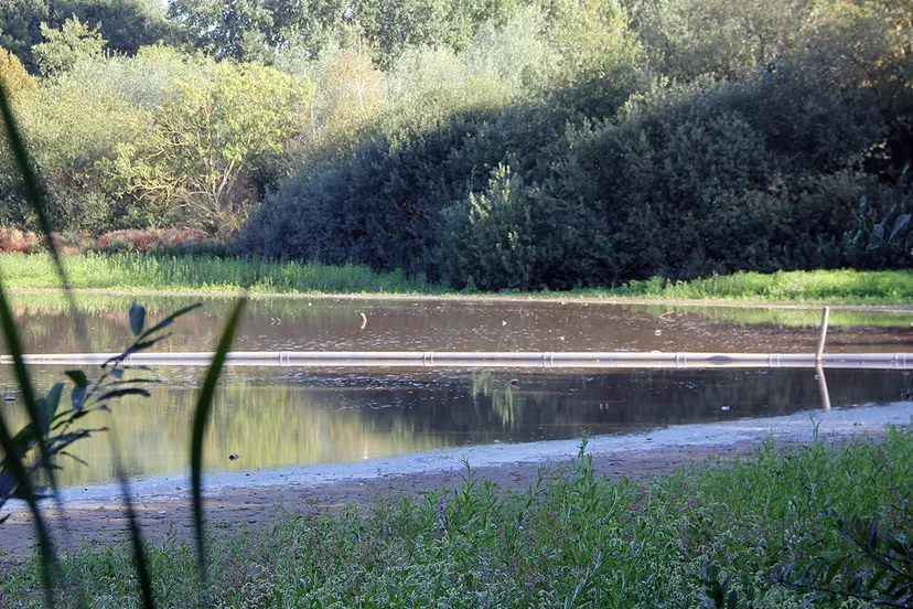 driepole geleen waterpeil aangevuld met grondwater