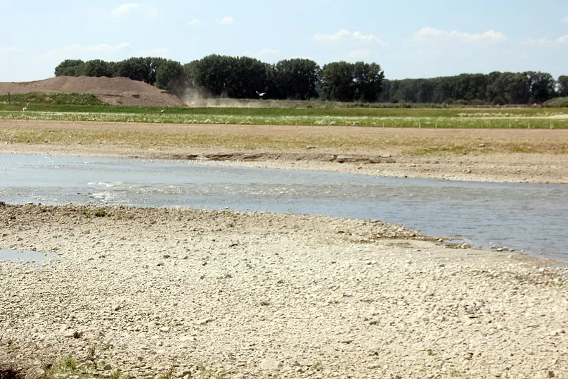 droogte 2018 maas bij grevenbicht