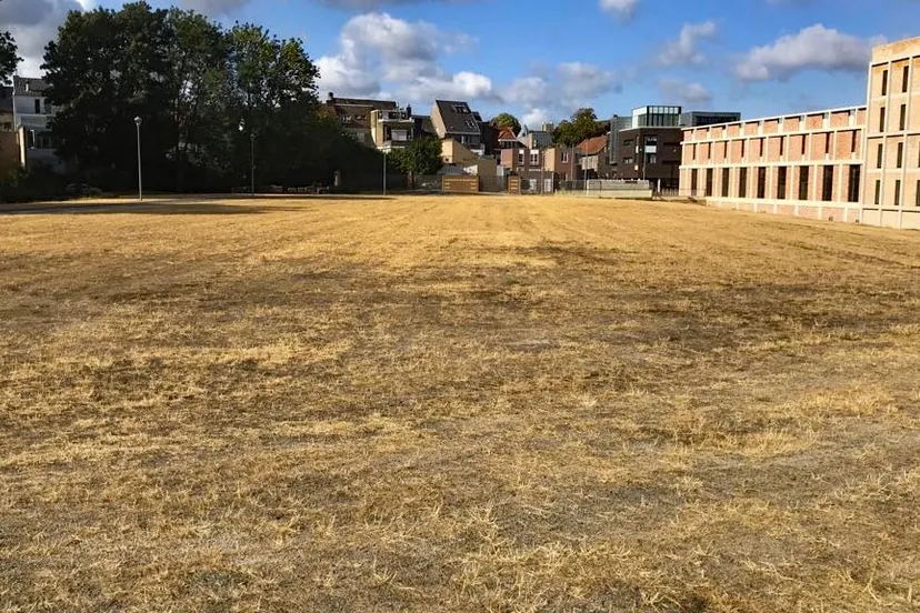 droogte schootsveldem ligne 2018