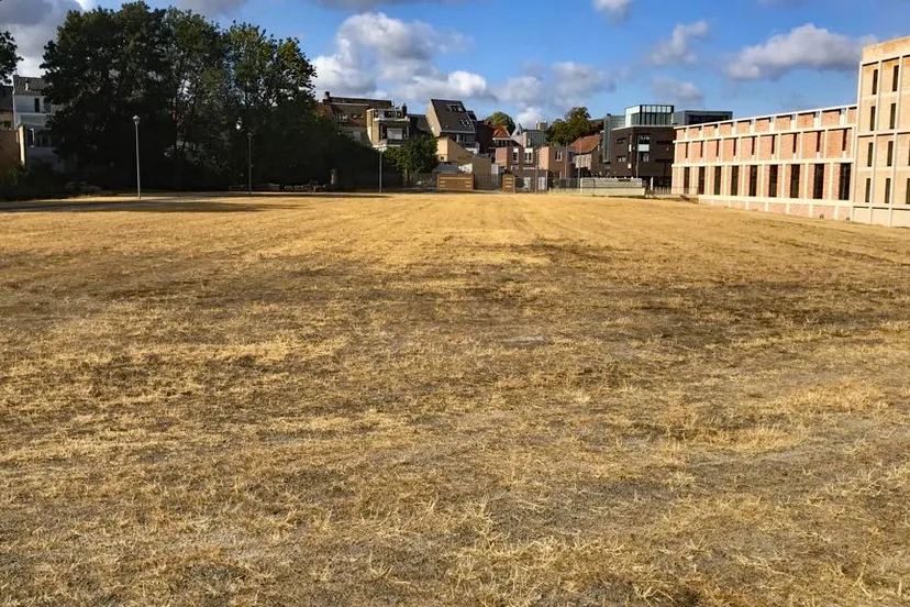 droogte schootsveldem ligne 2018