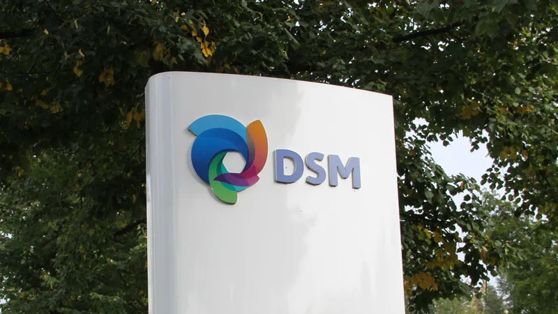 dsm naamzuil poststraat sittard
