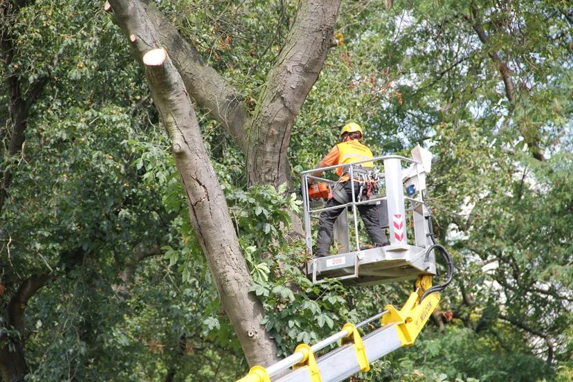 du129wqnvobyr5us53rmmklne 208267