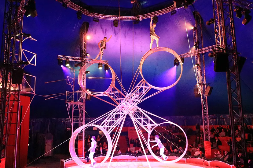dubbel rad des doods gerlings kerstcircus freiwald 1