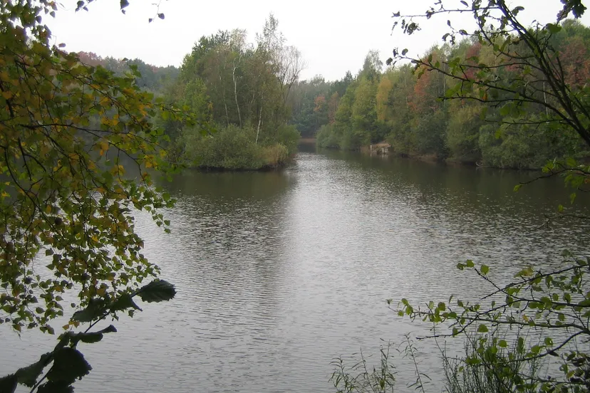 dubbroek maasbree mortelsven piet fleuren
