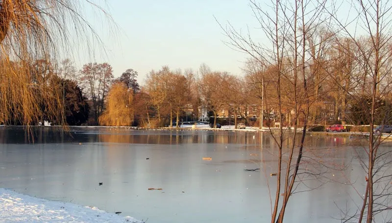 dun ijslaagje roeivijver