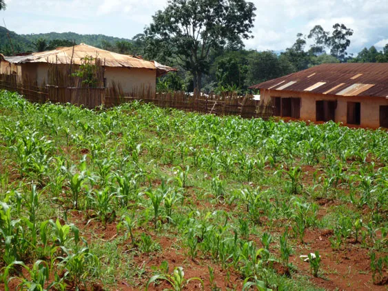 e70u84yyyrf0or67u347mzyr0 146005