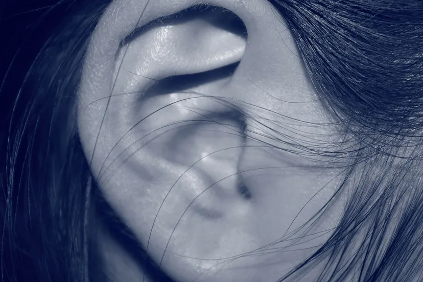 ear 207405 1920 oor tinnitus