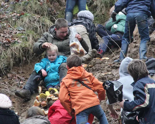 eed4bhnivm8q1kxrx2i7kcik0 217316