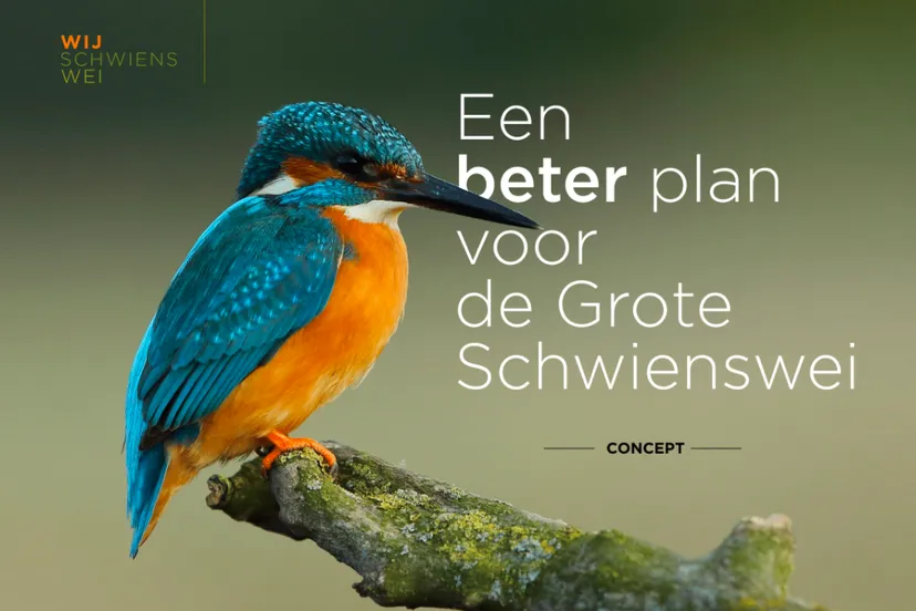 een beter plan voor de grote schwiensswei
