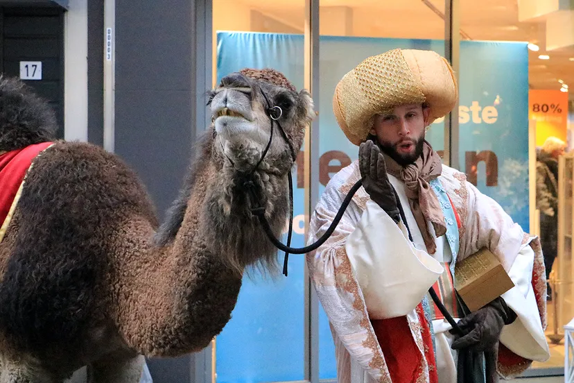 een van de drie koningen