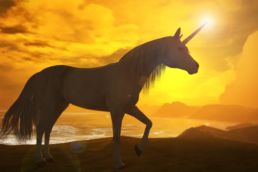 eenhoorn tomais ashdene cc by 20