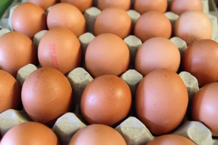 eieren cc0 pixabay eggs 2811871 1280