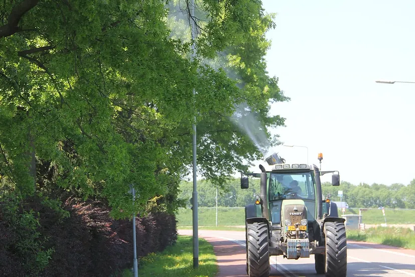 eikenprocessierupsenbestrijding eik rups processie