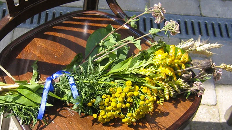 ein kroedwosj veldeke