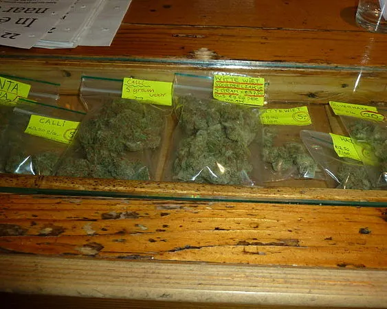 ekjvqeepasrz49lb1ax5uwrby 233148