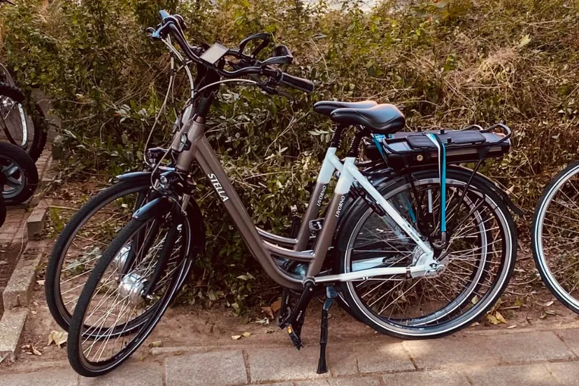 elektrische fietsen