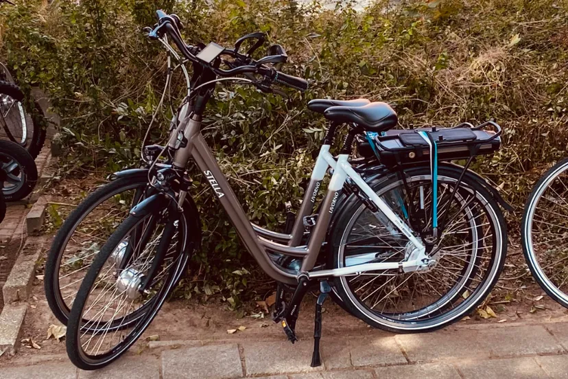 elektrische fietsen