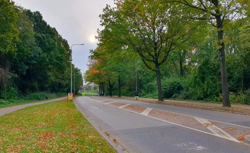 elsenburglaan geleen