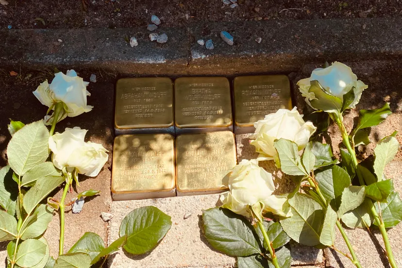 emmastraat legging stolpersteine worden gelegd