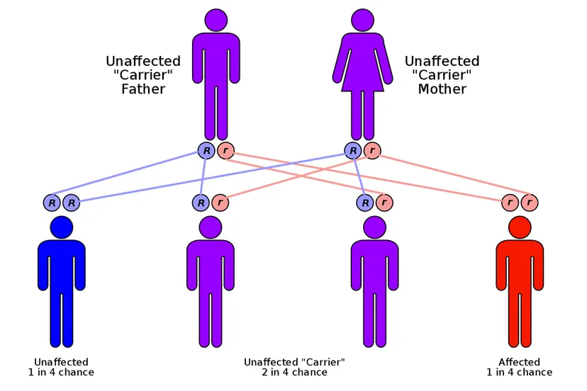 erfelijke aandoeningen