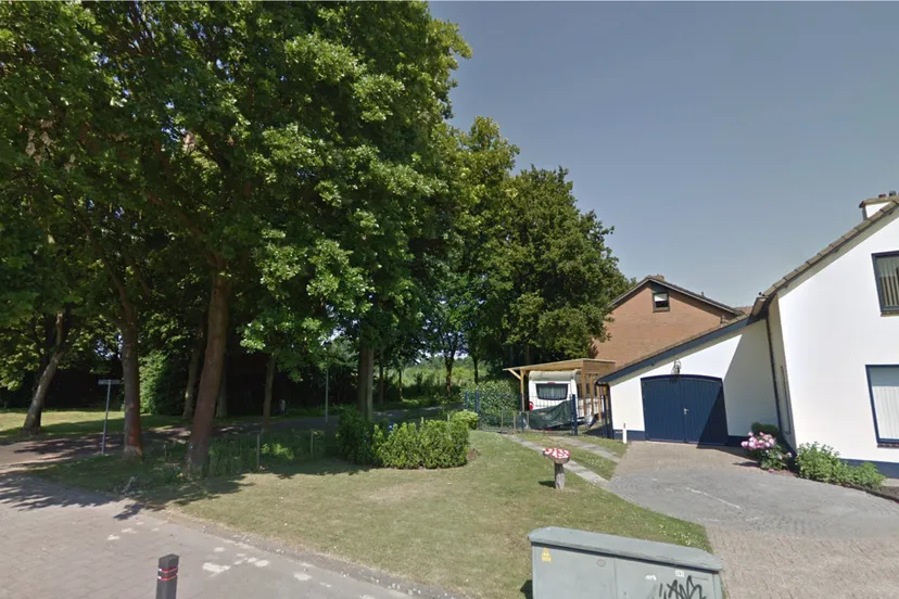 esdoorns in schipperskerk ziek 2021