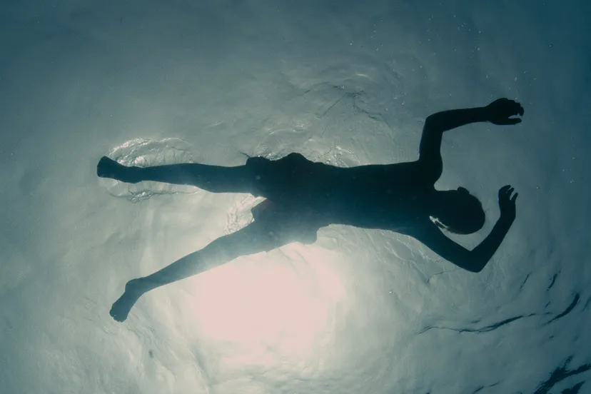 evolution stills 000002lesfilmsduworso potemkinefilms