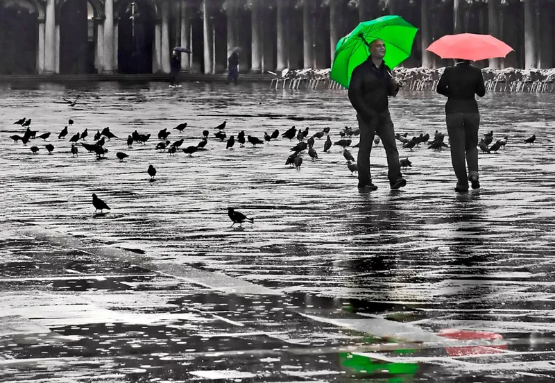 f357aftq1ztzxueolayqipikg 118857