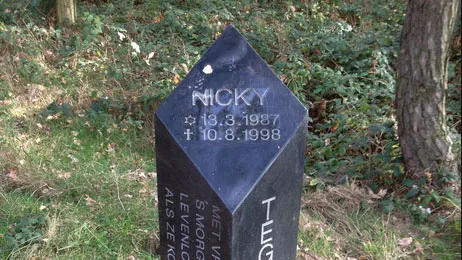 f49zk70trkjh4ujg0cjldf6wm monument nicky verstappen foto door saschaporsche own work cc