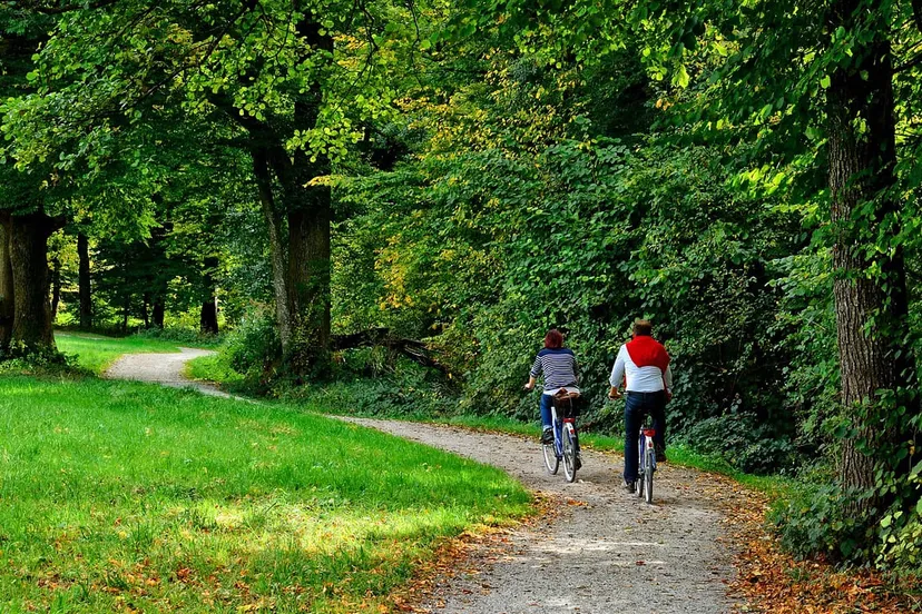 fietsen cc0 pixabay manfred antranias zimmer