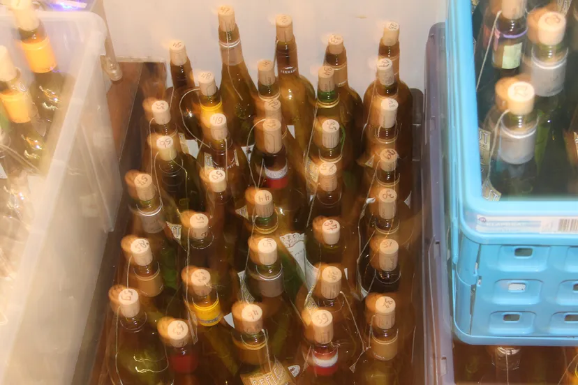 flanelle lepkes beeld nadat alle entreekaarten klaar waren