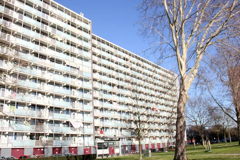 flat 5 limbrichterveld sittard februari 2019