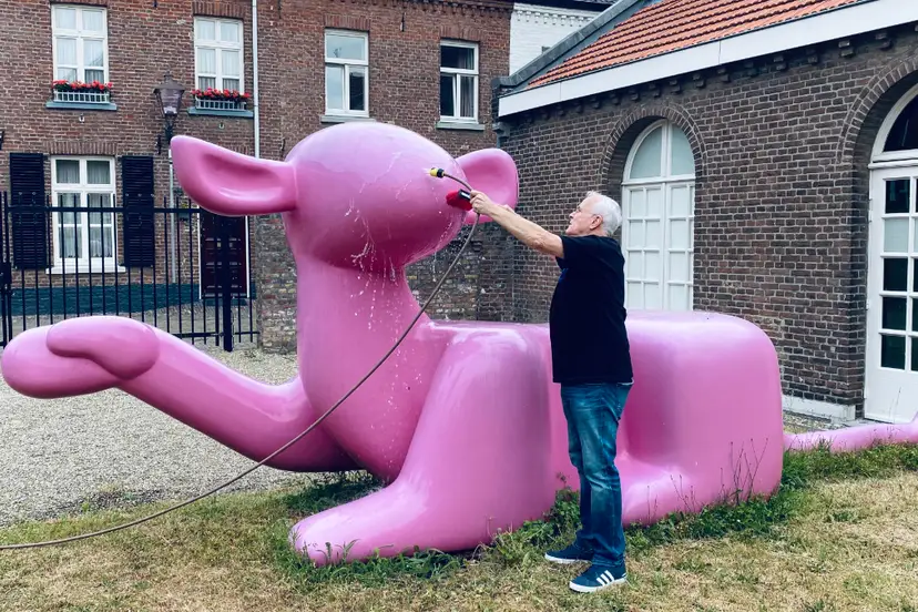 flinx krijgt een wasbeurt