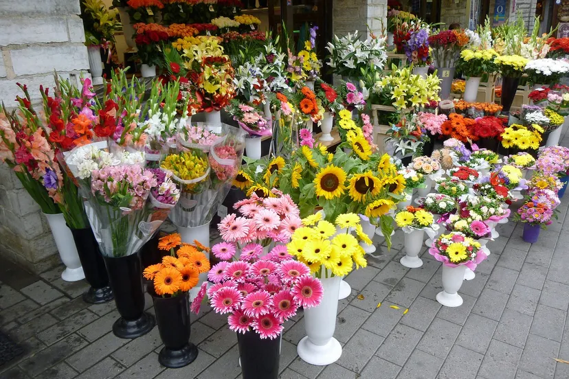 flowers 658514 1280 bloemen bloemenwinkel