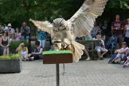 fmz1s3nptr9oslhhm9nzrcinm 142808