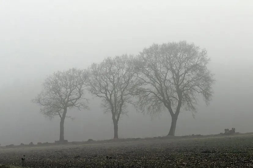 fog 370527 1280 mist