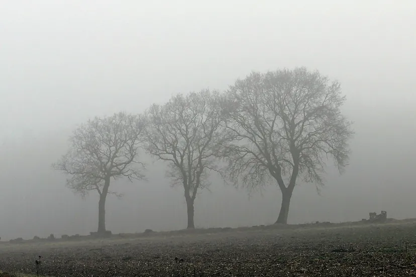 fog 370527 1280 mist