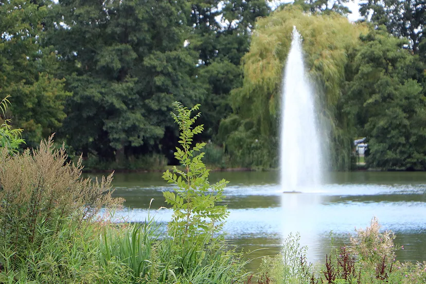 fontein roeivijver augustus 2020