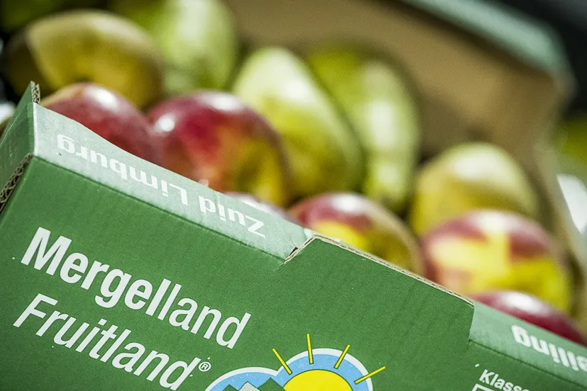 fortuna fruit 1 studiovr