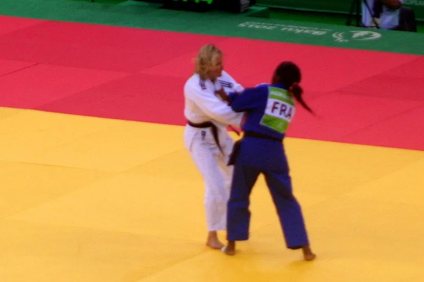 franssen vs agbegneno interfase cc by sa 40 via wikimedia commons