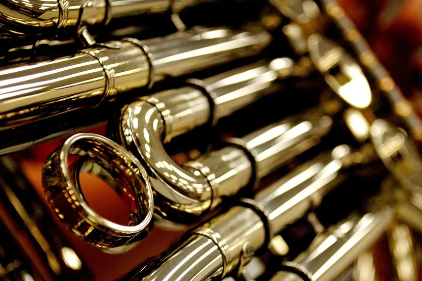 french horn hoorn sadie hernandez cc by 20