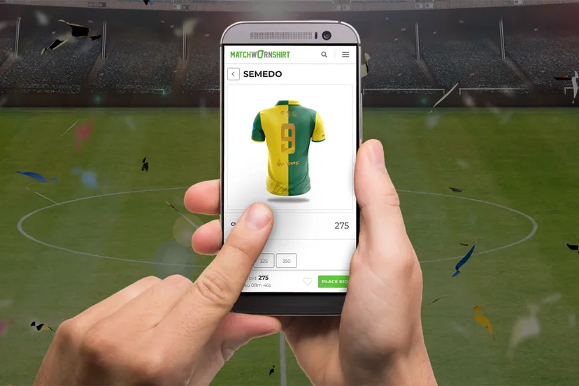 fs mws visual 19201250