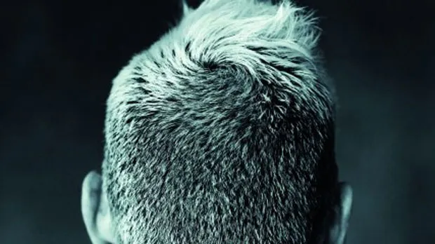 g1daw2m1nx97238ahluvl164h dolf jansen topvorm 2