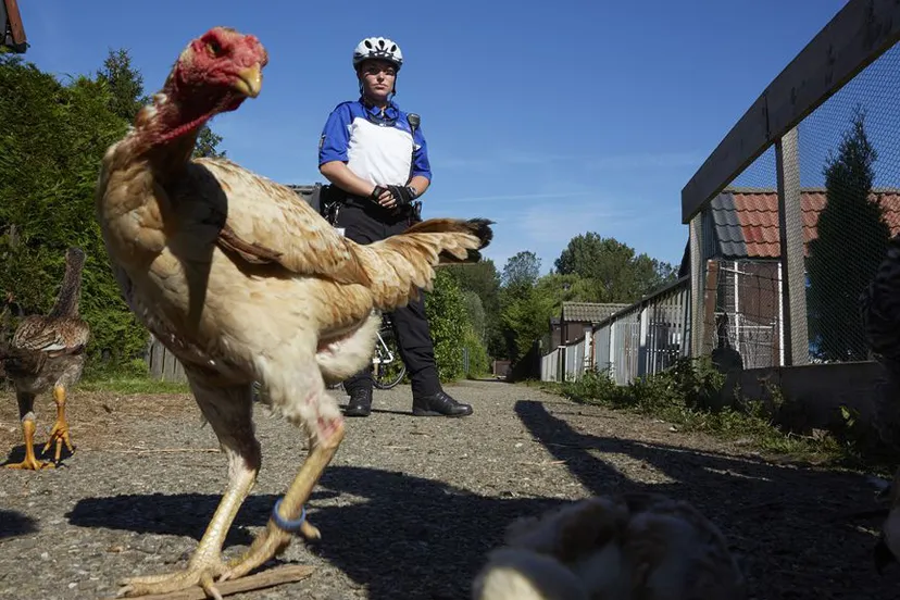 g2vdmmf1p8kzjtowhjock4m9y anp hq respectclaim van verpakking supermarkten